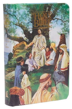 Image of KJV Bible Seaside Hardcover