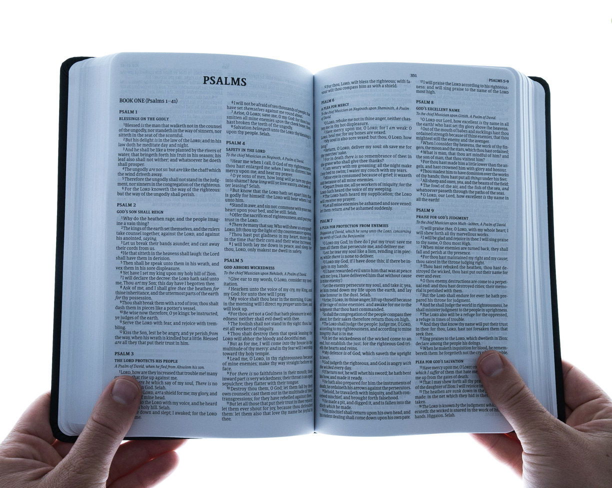 Product 100-0017 - View 5 100-0017 Product Image 5