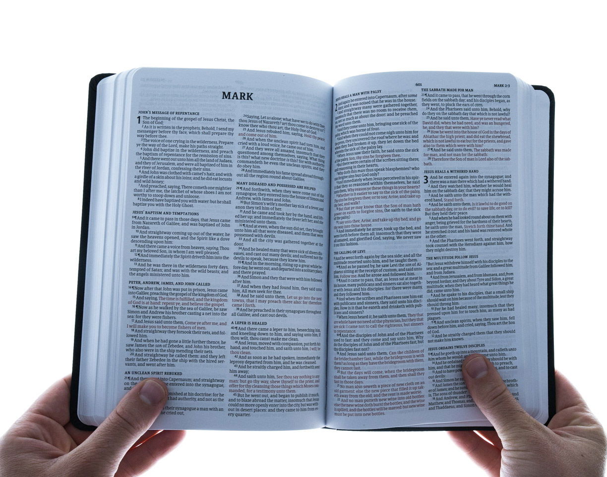 Product 100-0017 - View 6 100-0017 Product Image 6