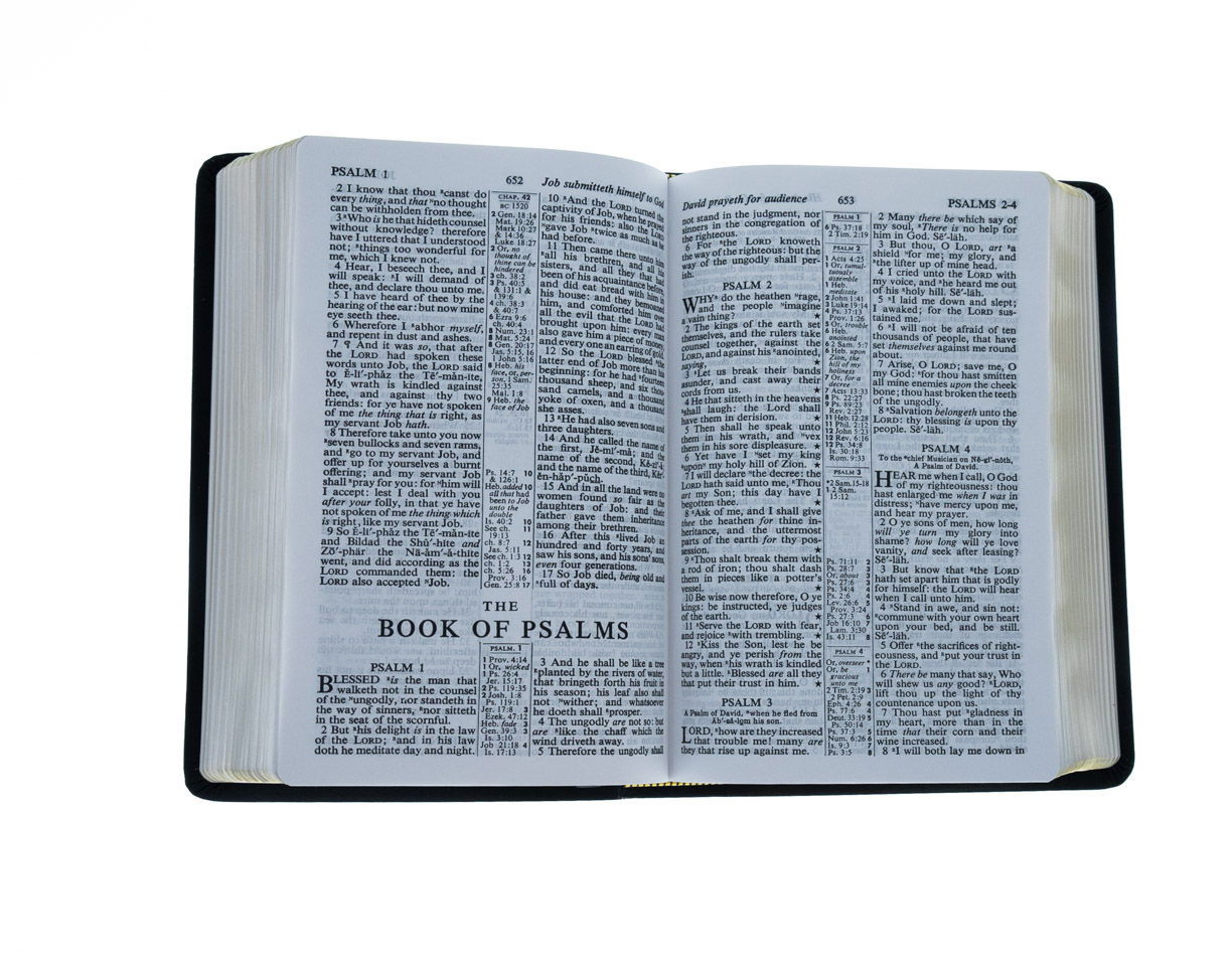 Product 100-0139 - View 3 100-0139 Product Image 3