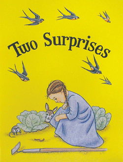 Image of Two Surprises – Jewel Book