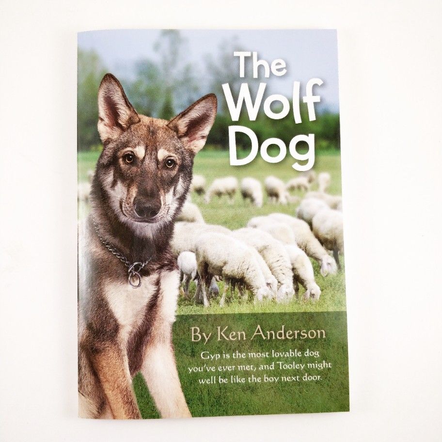 Product 102-0212 - View 1 102-0212 Product Image 1