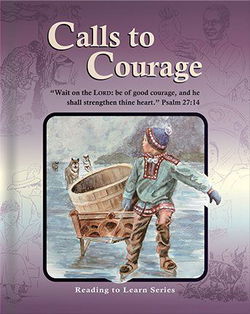 Image of Calls to Courage