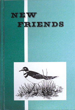 Image of New Friends Reader Gr 3 – 1