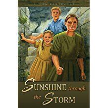 Image of Sunshine Through the Storm -Discontined