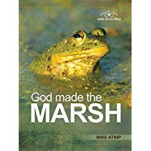 Image of God Made the Marsh