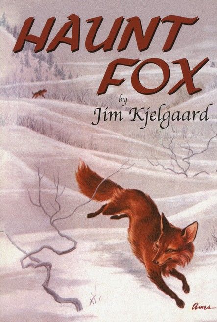 102-0656 Product Image 1