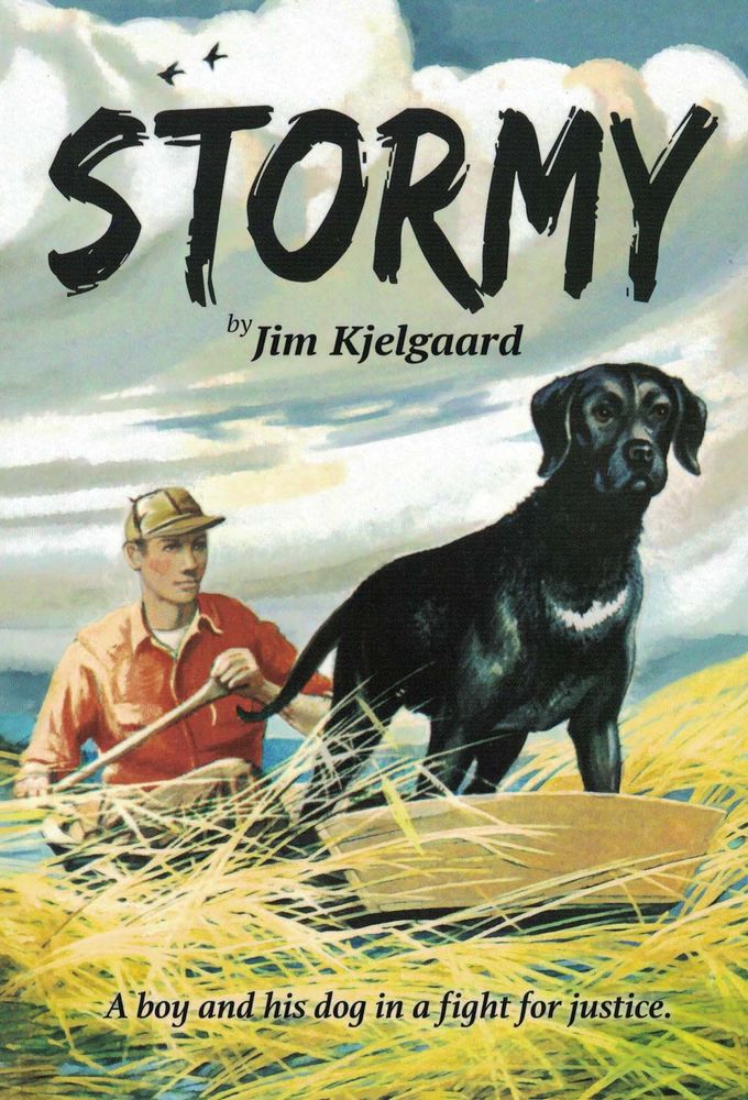 Image of Stormy: A Boy and His Dog