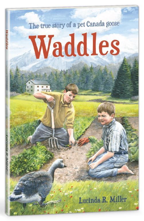 102-0871 Product Image 1