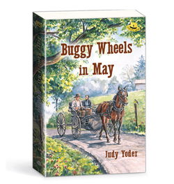 Image of Buggy Wheels in May – Little Eli Series #4