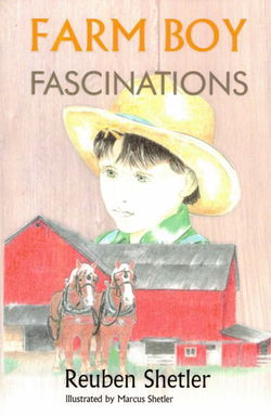 Image of Farm Boy Fascinations