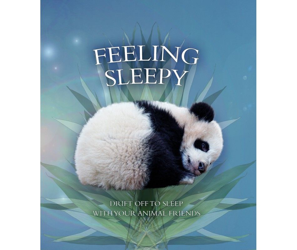 Image of Feeling Sleepy: Drift Off to Sleep with Your Animal Friends