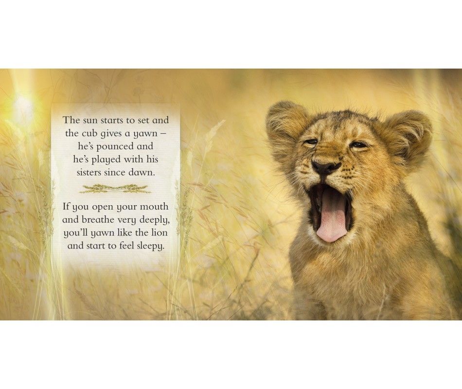 102-0919 Product Image 3