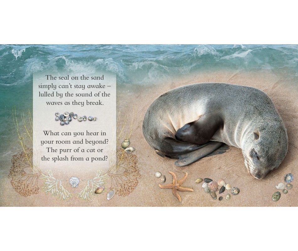 102-0919 Product Image 4