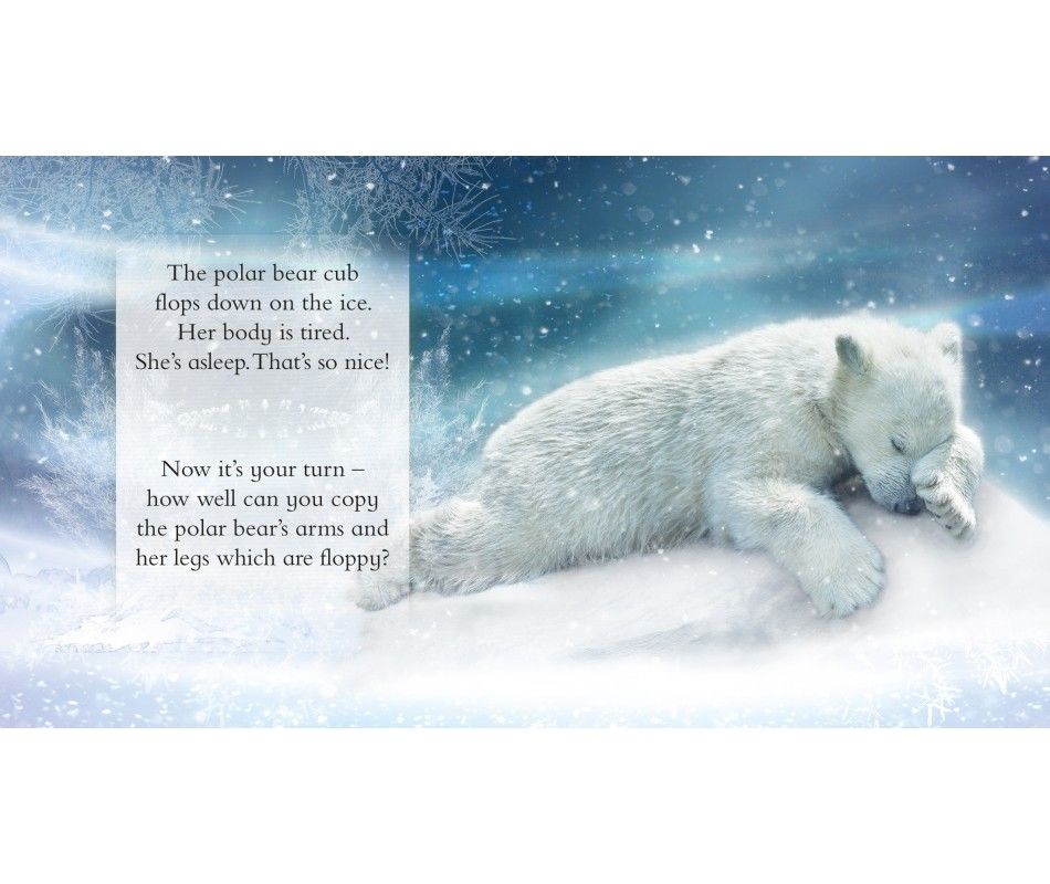 102-0919 Product Image 5