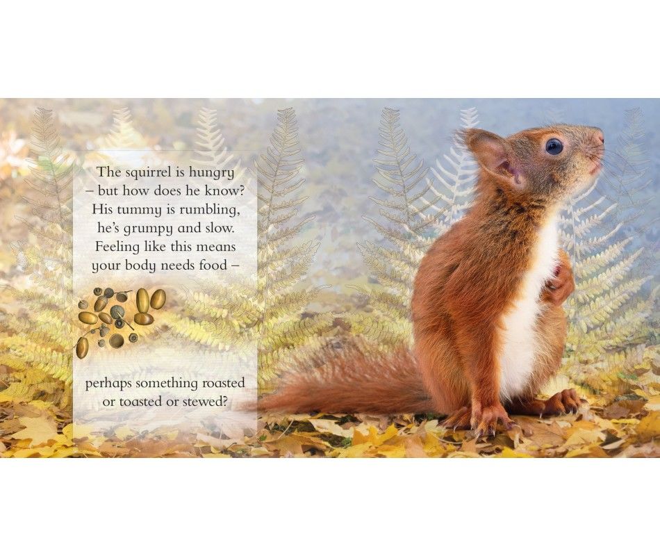 Product 102-0920 - View 2 102-0920 Product Image 2