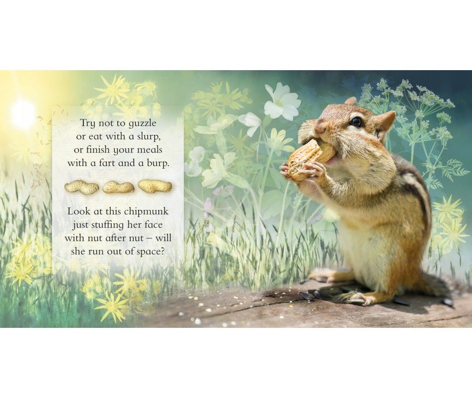 Product 102-0920 - View 5 102-0920 Product Image 5