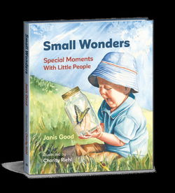Image of Small Wonders