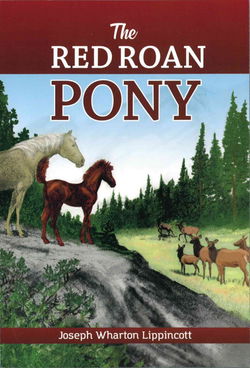 Image of The Red Roan Pony