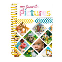 Image of My Favorite Pictures