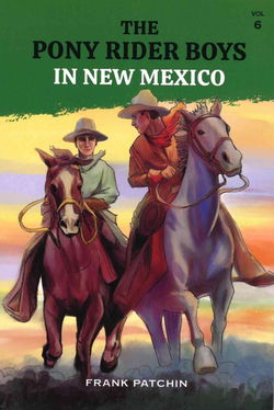 Image of The Pony Rider Boys in New Mexico #6