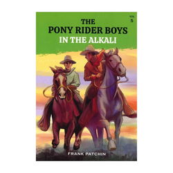 Image of The Pony Rider Boys in the Alkali  #5