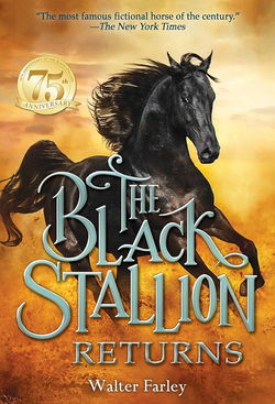 Image of The Black Stallion Returns (Black Stallion)