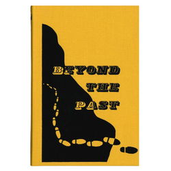 Image of Beyond the Past