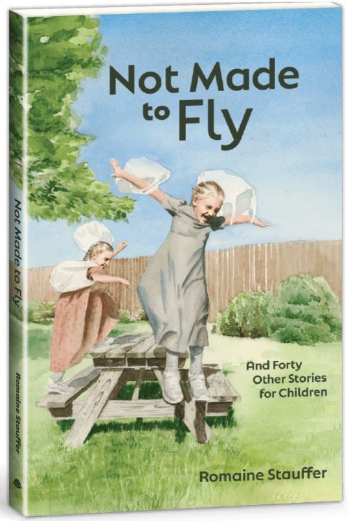 Image of Not Made to Fly -Short Stories