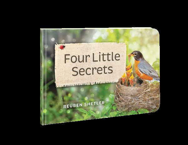 Image of Four Little Secrets Board Book