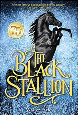 Image of The Black Stallion #1