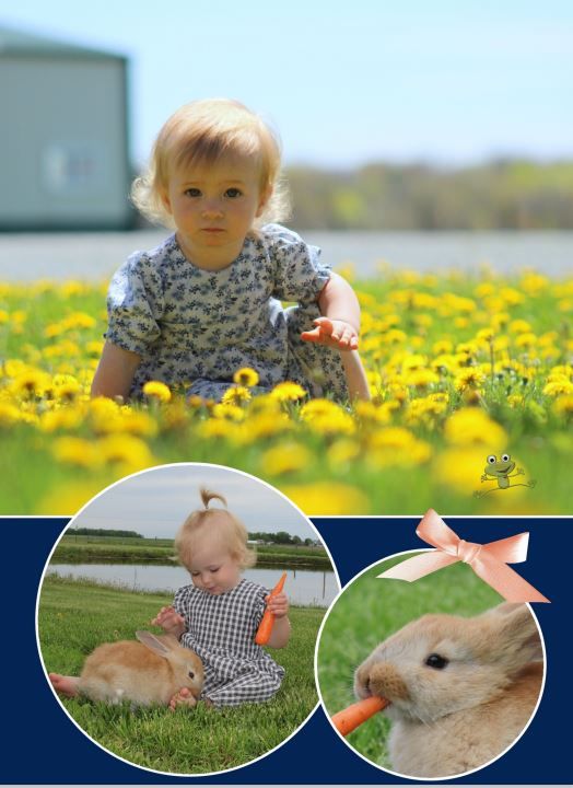 102-3086 Product Image 3