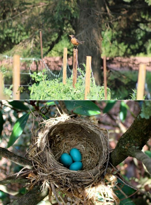 102-3086 Product Image 5