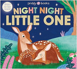 Image of Night Night Little One (Night Night Books)