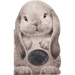 Image of Furry Bunny -Touch & Feel Mini Friends