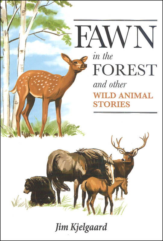 Image of Fawn in the Forest