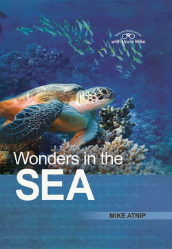 Image of Wonders in the Sea