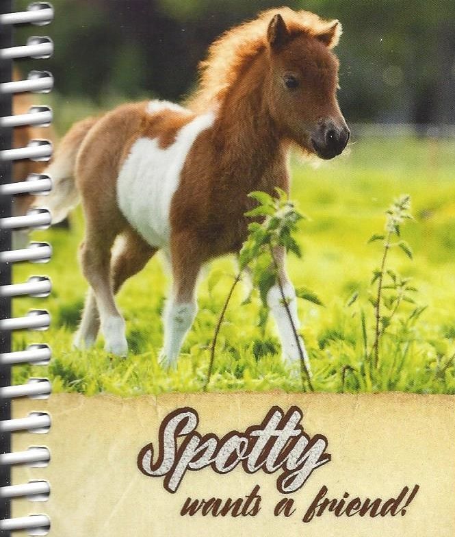 Image of Chunky Tablet Spotty