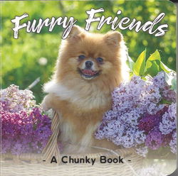Image of Furry Friends Chunky Board Book -Discontined