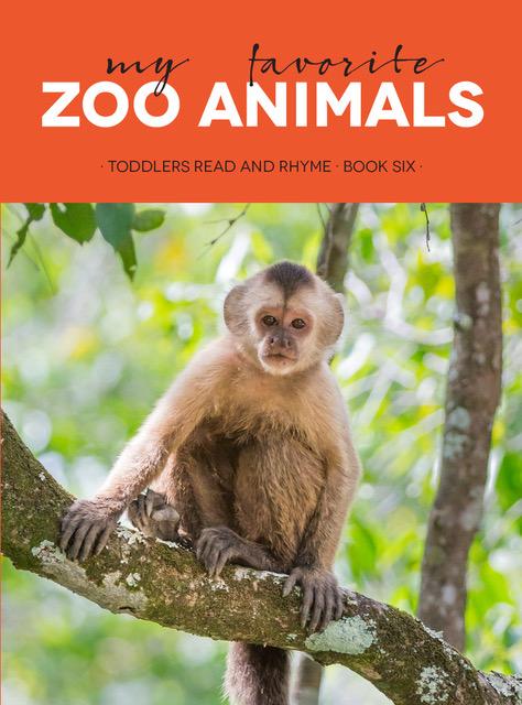 102-6106 Product Image 1