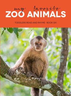 Image of My Favorite Zoo Animals Board Book