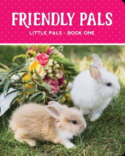 Image of Friendly Pals Chunky Books Little Pals Series Book 1