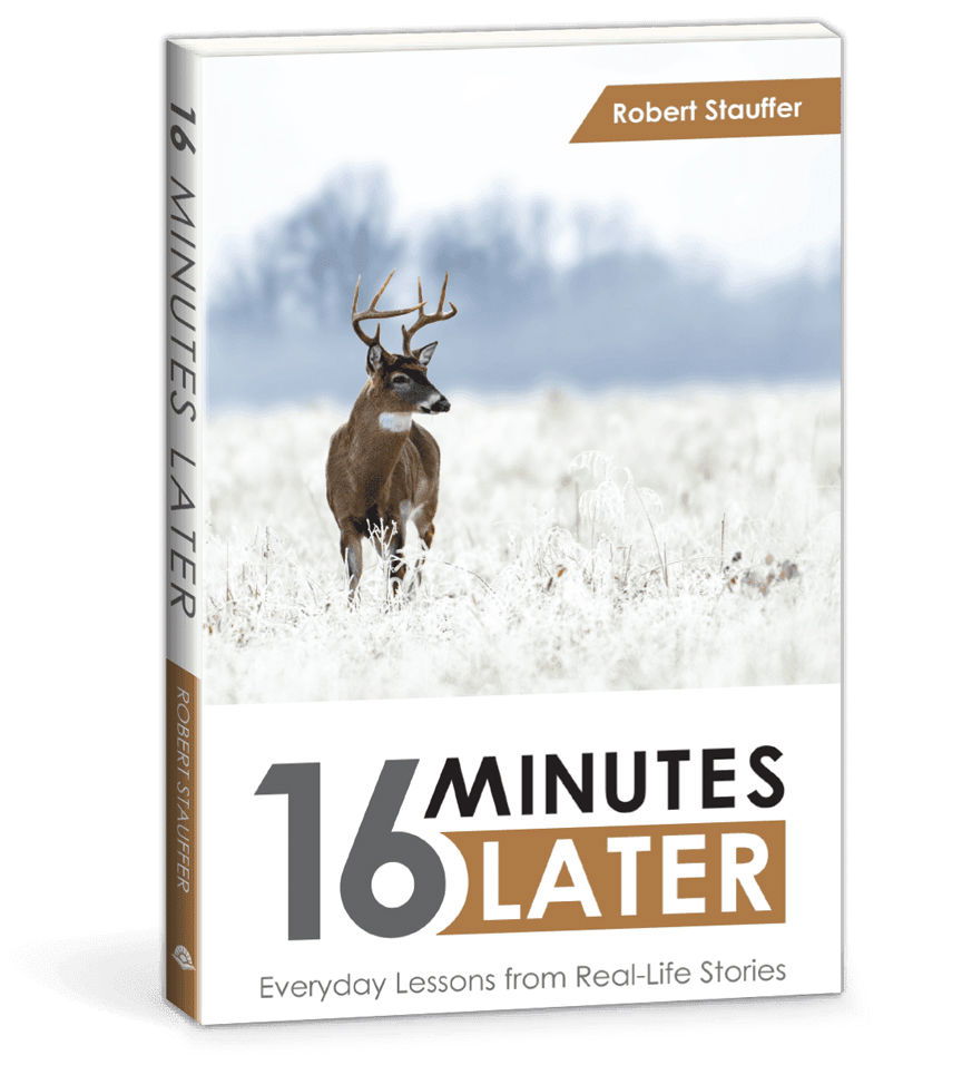 Product 104-0338 - View 1 104-0338 Product Image 1