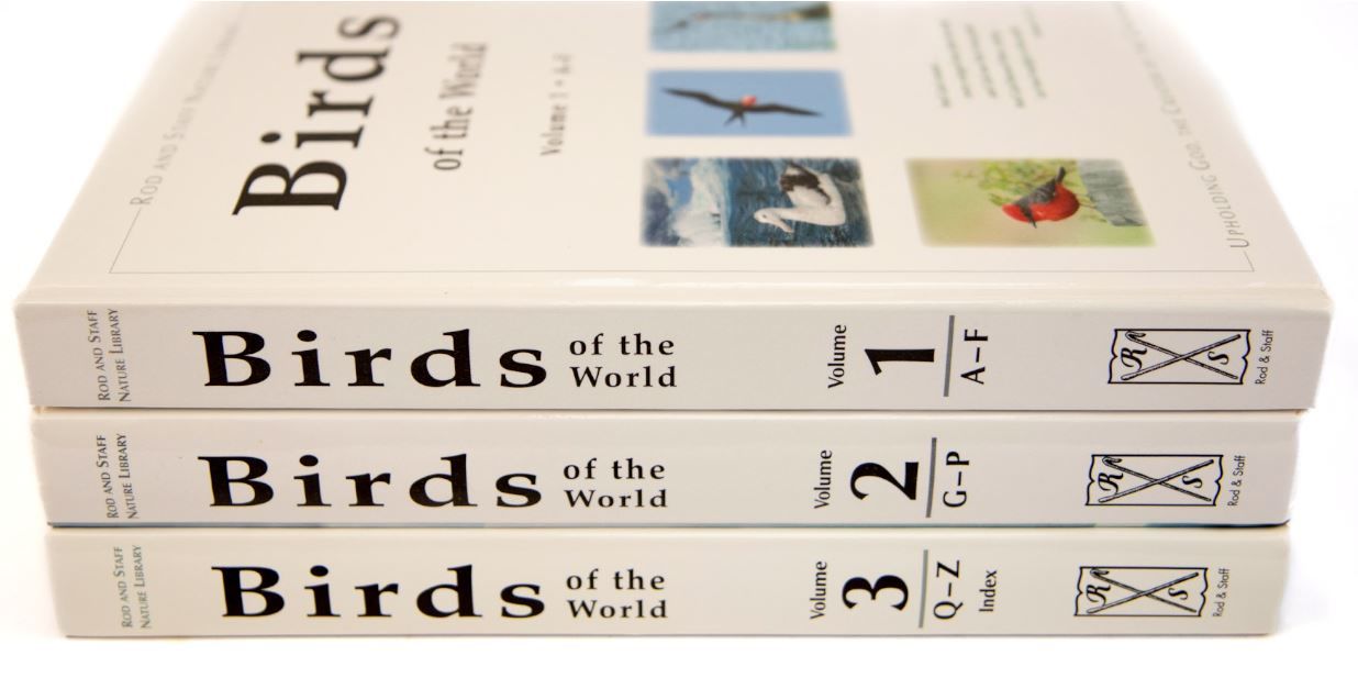 Product 104-0458 - View 2 104-0458 Product Image 2