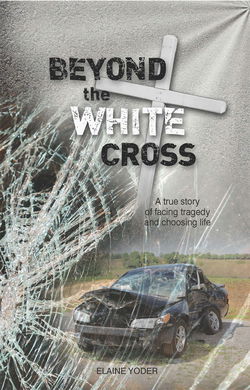 Image of Beyond the White Cross