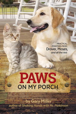 Image of Paws on My Porch