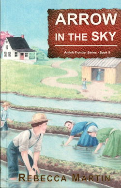 Image of Arrow in the Sky -Amish Frontier Series  -Book #5