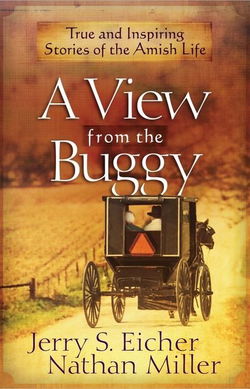 Image of A View From the Buggy