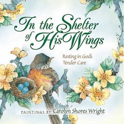 Image of In the Shelter of His Wings: Resting in God’s Tender Care