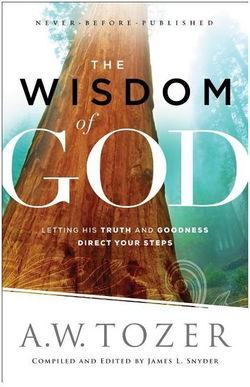 Image of The Wisdom of God: Letting His Truth and Goodness Direct Your Steps
